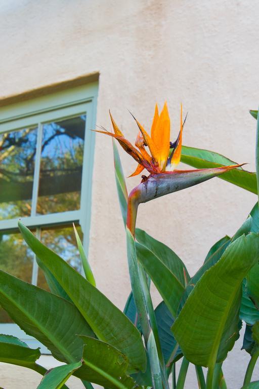 Babette Bed&Breakfast Swellendam Eksteriør billede