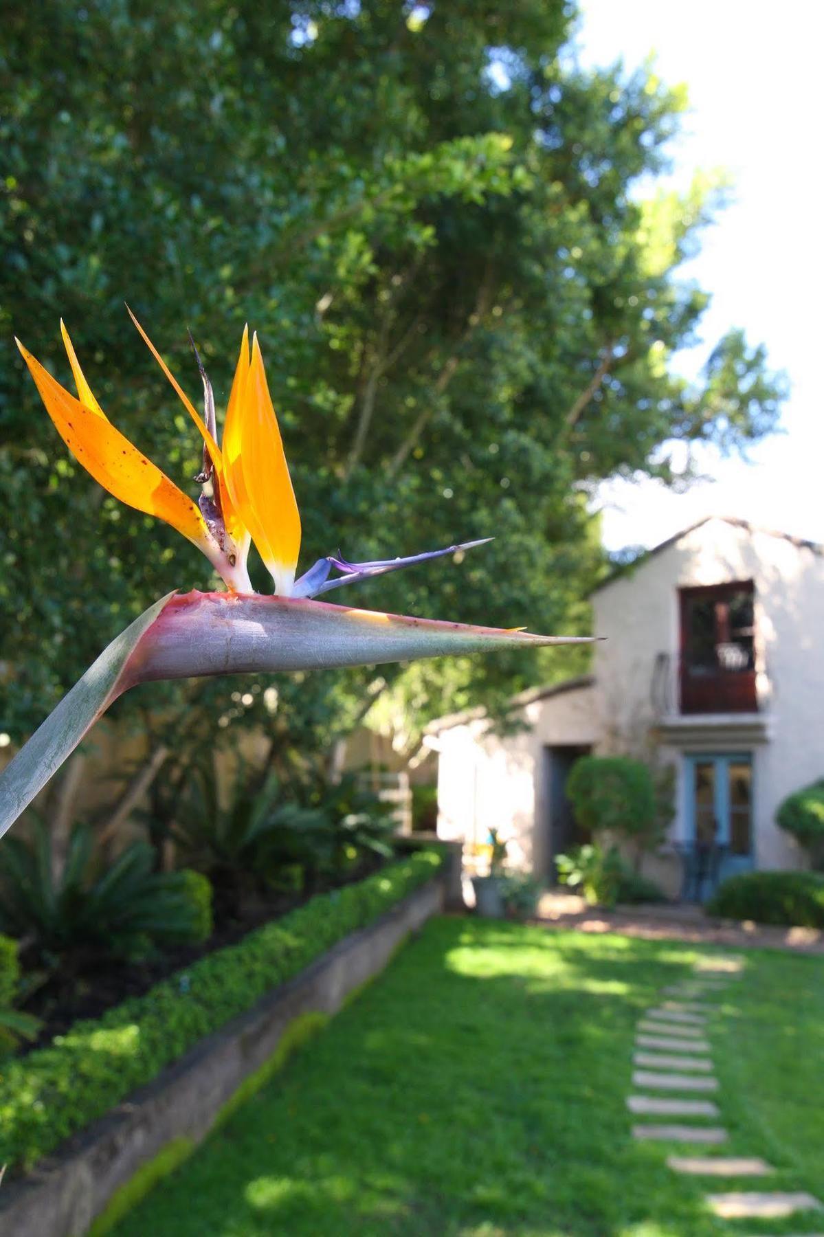 Babette Bed&Breakfast Swellendam Eksteriør billede